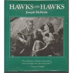 hawks hawks