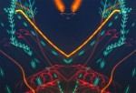 v v